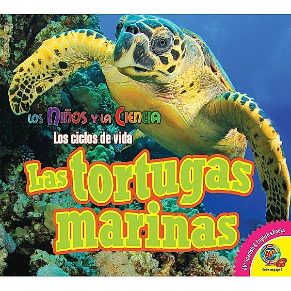 Las tortugas marinas, Aaron Carr