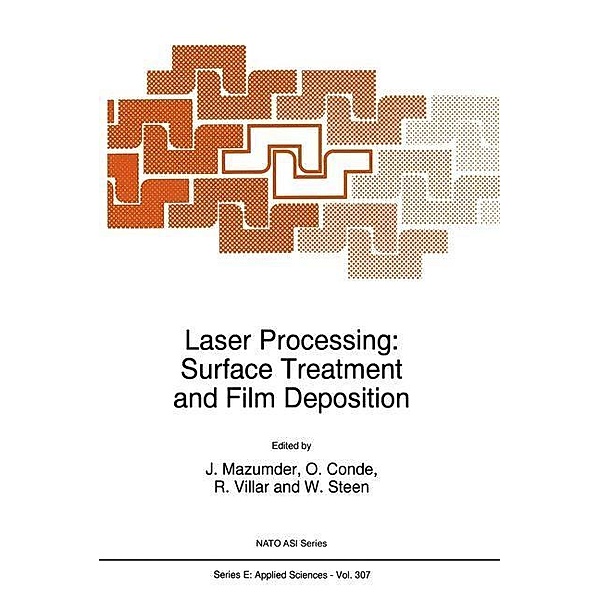 Laser Processing: Surface Treatment and Film Deposition / NATO Science Series E: Bd.307