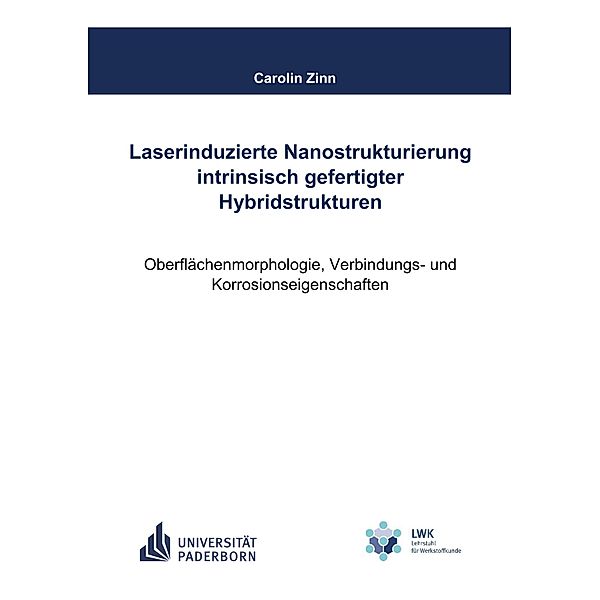 Laserinduzierte Nanostrukturierung intrinsisch gefertigter Hybridstrukturen, Carolin Zinn