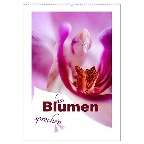 Lass Blumen sprechen (Wandkalender 2025 DIN A2 hoch), CALVENDO Monatskalender, Calvendo, Nina Schwarze