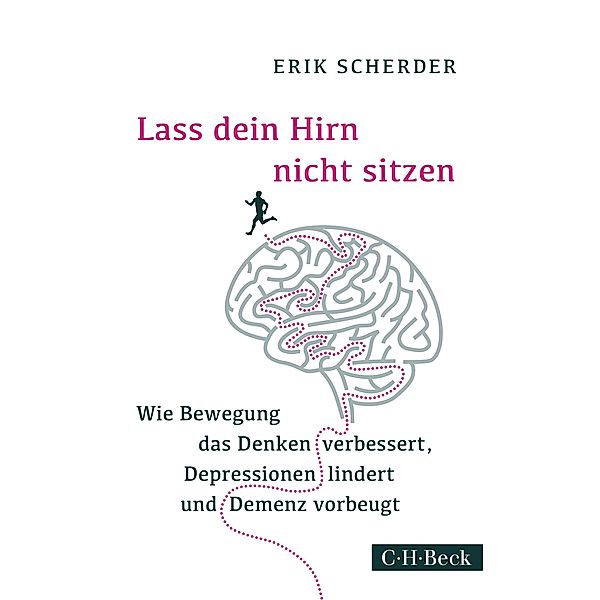 Lass dein Hirn nicht sitzen / Beck Paperback Bd.6238, Erik Scherder