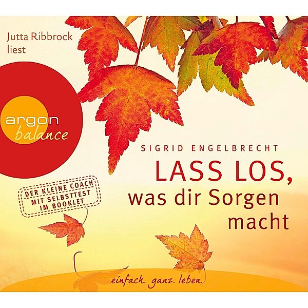 Lass los, was dir Sorgen macht, 1 Audio-CD, Sigrid Engelbrecht