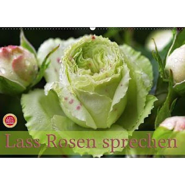 Lass Rosen sprechen (Wandkalender 2016 DIN A2 quer), Martina Cross