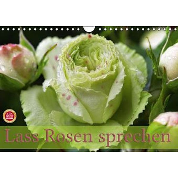 Lass Rosen sprechen (Wandkalender 2016 DIN A4 quer), Martina Cross