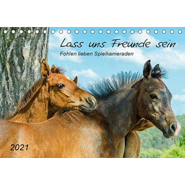 Lass uns Freunde sein (Tischkalender 2021 DIN A5 quer), Kerstin Waurick