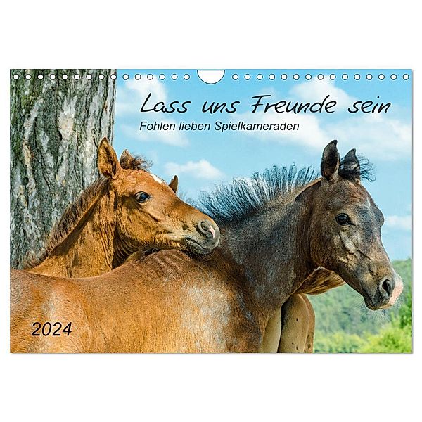 Lass uns Freunde sein (Wandkalender 2024 DIN A4 quer), CALVENDO Monatskalender, Calvendo, Kerstin Waurick