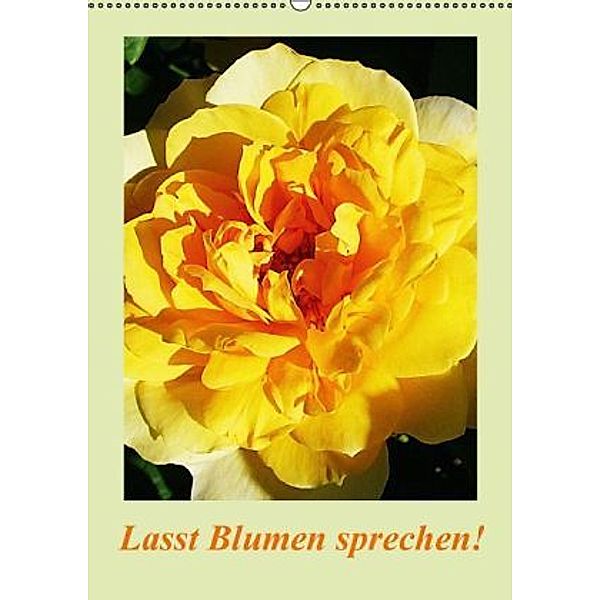 Lasst Blumen sprechen! / CH-Version (Wandkalender 2016 DIN A2 hoch), Art-Motiva