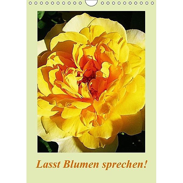 Lasst Blumen sprechen! / CH-Version (Wandkalender 2017 DIN A4 hoch), Art-Motiva