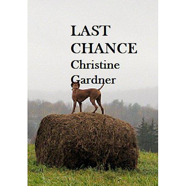 Last Chance, Christine Gardner