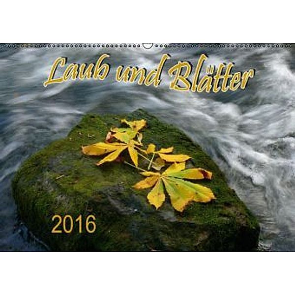 Laub und Blätter 2016 (Wandkalender 2016 DIN A2 quer), Bildagentur Geduldig