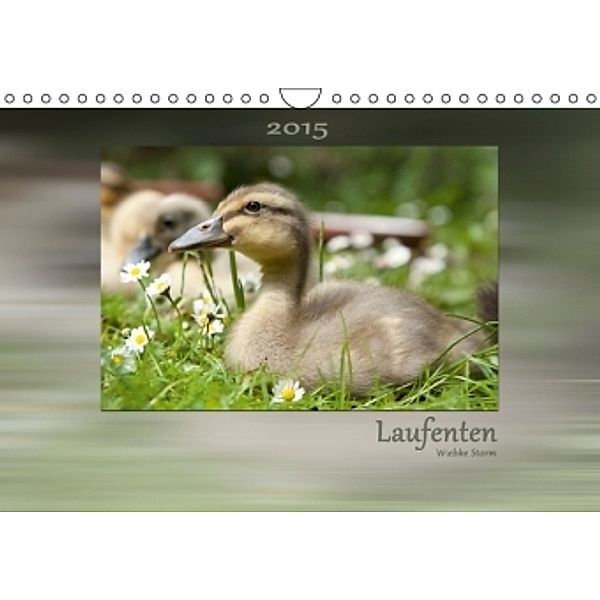 Laufenten 2015 (Wandkalender 2015 DIN A4 quer), Wiebke Storm