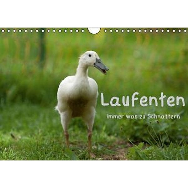 Laufenten immer was zu Schnattern (Wandkalender 2016 DIN A4 quer), Angela Münzel-Hashish