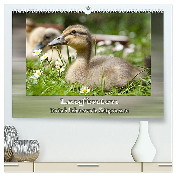 Laufenten - tierisch liebenswerte Zeitgenossen (hochwertiger Premium Wandkalender 2024 DIN A2 quer), Kunstdruck in Hochglanz, Wiebke Storm