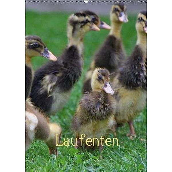 Laufenten (Wandkalender 2015 DIN A2 hoch), LoRo-Artwork