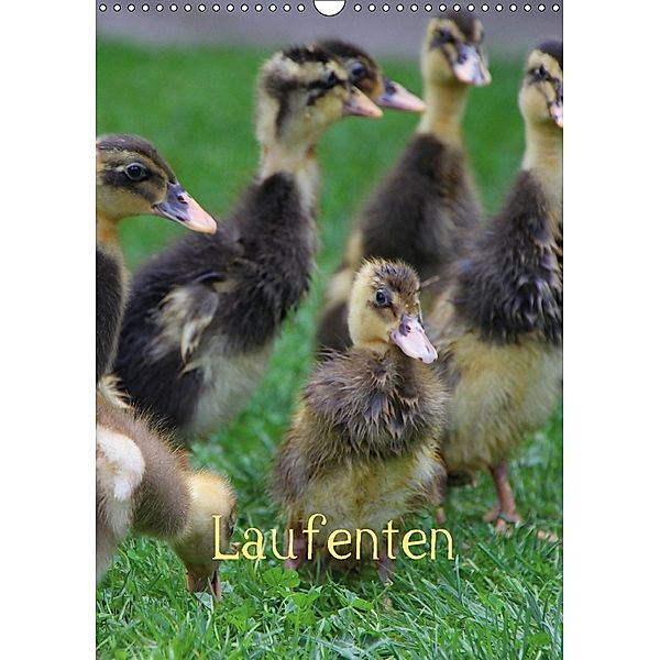 Laufenten (Wandkalender 2018 DIN A3 hoch), LoRo-Artwork