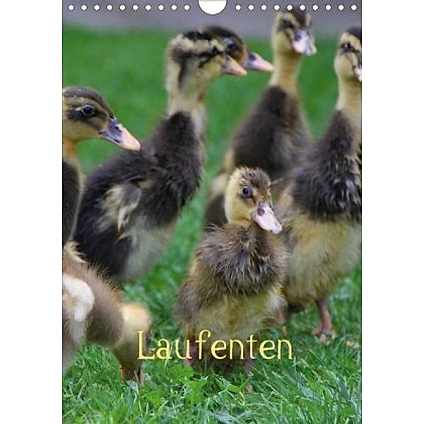 Laufenten (Wandkalender 2020 DIN A4 hoch)