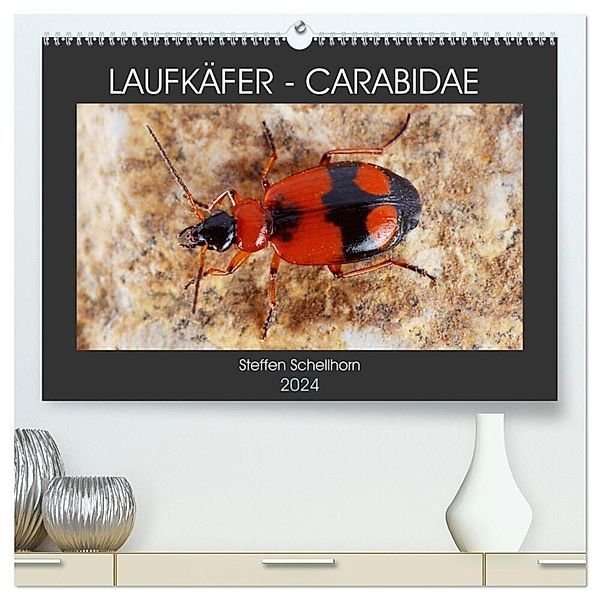 LAUFKÄFER - CARABIDAE (hochwertiger Premium Wandkalender 2024 DIN A2 quer), Kunstdruck in Hochglanz, Steffen Schellhorn