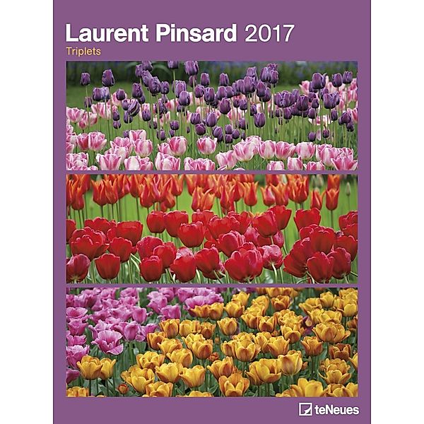 Laurent Pinsard 2017, Laurent Pinsard