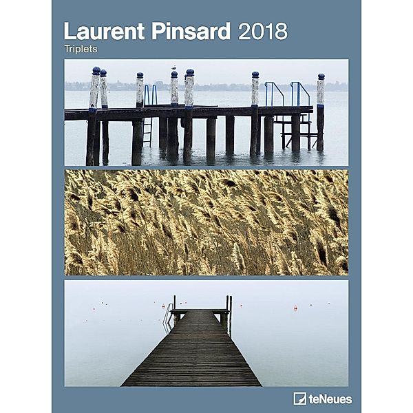 Laurent Pinsard 2018, Laurent Pinsard
