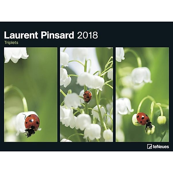 Laurent Pinsard 2018, Laurent Pinsard