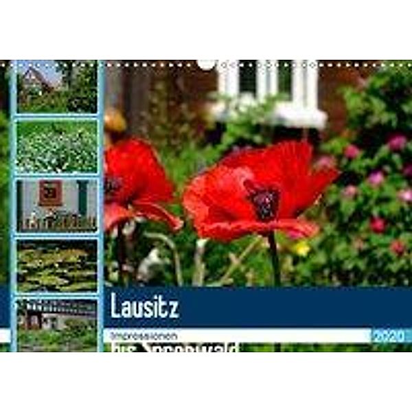 Lausitz bis Spreewald (Wandkalender 2020 DIN A3 quer)