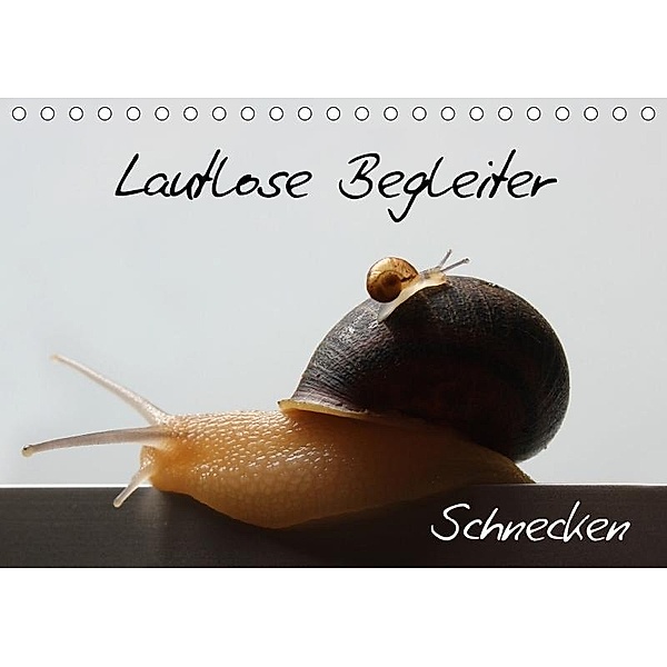Lautlose Begleiter - Schnecken (Tischkalender 2017 DIN A5 quer), Wibke Geiling