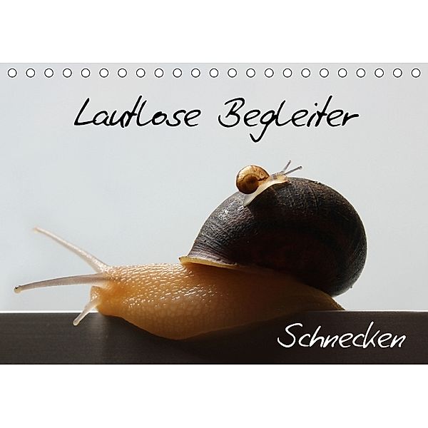 Lautlose Begleiter - Schnecken (Tischkalender 2018 DIN A5 quer), Wibke Geiling