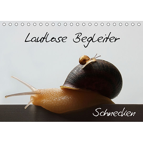 Lautlose Begleiter - Schnecken (Tischkalender 2019 DIN A5 quer), Wibke Geiling