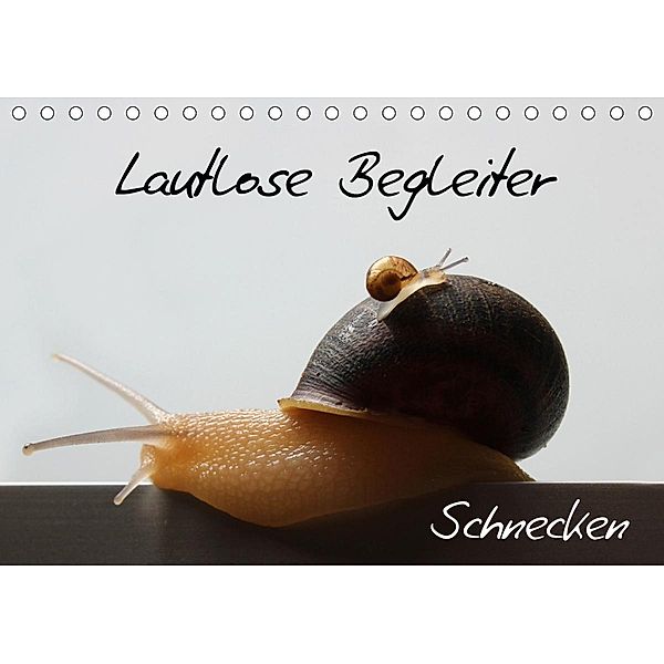 Lautlose Begleiter - Schnecken (Tischkalender 2021 DIN A5 quer), Wibke Geiling