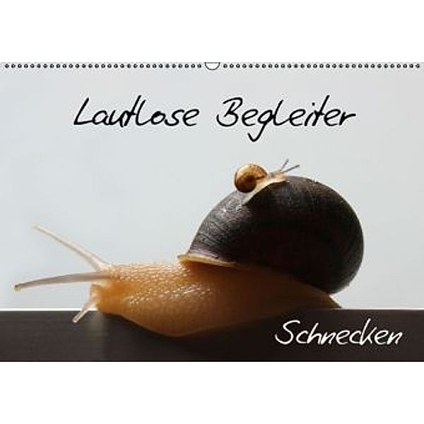 Lautlose Begleiter - Schnecken (Wandkalender 2015 DIN A2 quer), Wibke Geiling