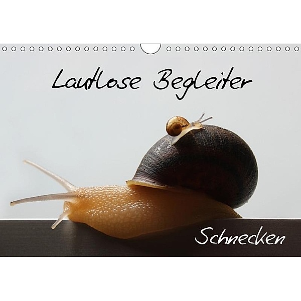Lautlose Begleiter - Schnecken (Wandkalender 2017 DIN A4 quer), Wibke Geiling