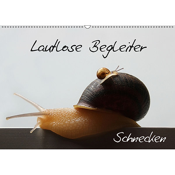 Lautlose Begleiter - Schnecken (Wandkalender 2019 DIN A2 quer), Wibke Geiling