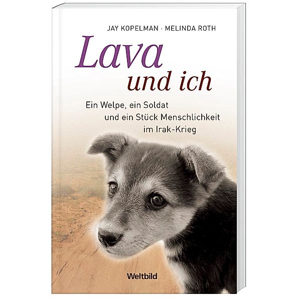 Lava und ich, Jay Kopelman