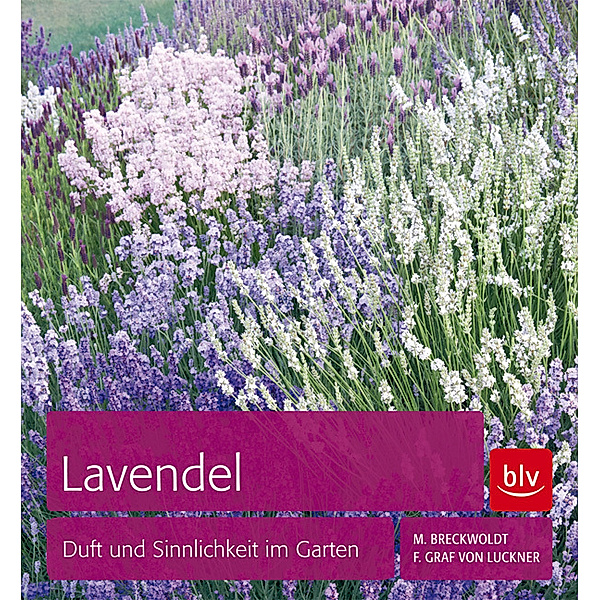 Lavendel, Michael Breckwoldt, Ferdinand von Luckner