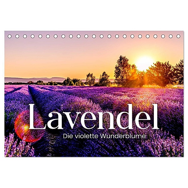 Lavendel - Die violette Wunderblume (Tischkalender 2024 DIN A5 quer), CALVENDO Monatskalender, SF