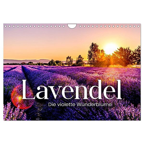Lavendel - Die violette Wunderblume (Wandkalender 2024 DIN A4 quer), CALVENDO Monatskalender, SF