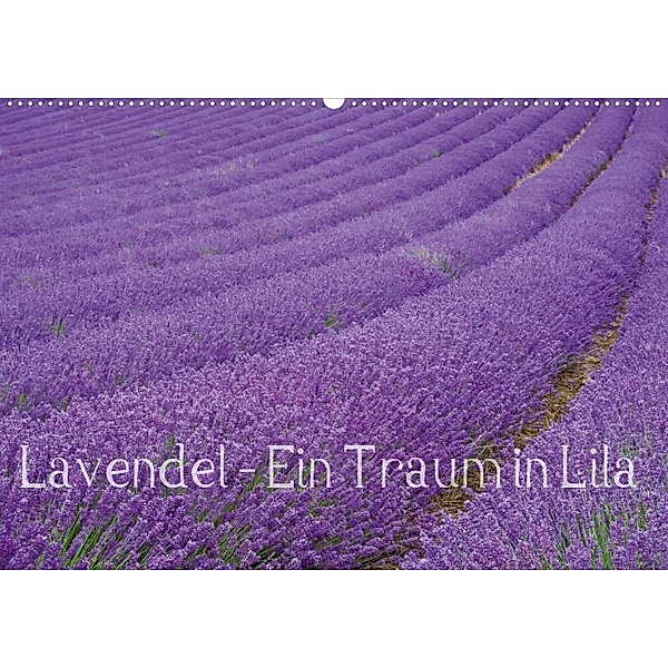 Lavendel - Ein Traum in Lila (Wandkalender 2014 DIN A4 quer), picture alliance