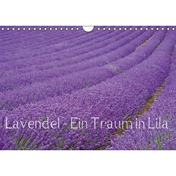 Lavendel - Ein Traum in Lila (Wandkalender 2015 DIN A4 quer), picture alliance