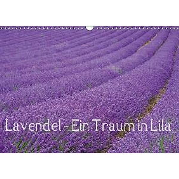 Lavendel - Ein Traum in Lila (Wandkalender 2016 DIN A3 quer), picture alliance