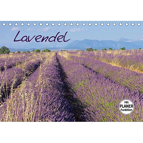 Lavendel (Tischkalender 2021 DIN A5 quer), LianeM