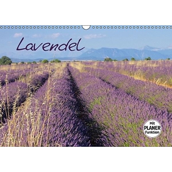 Lavendel (Wandkalender 2016 DIN A3 quer), LianeM