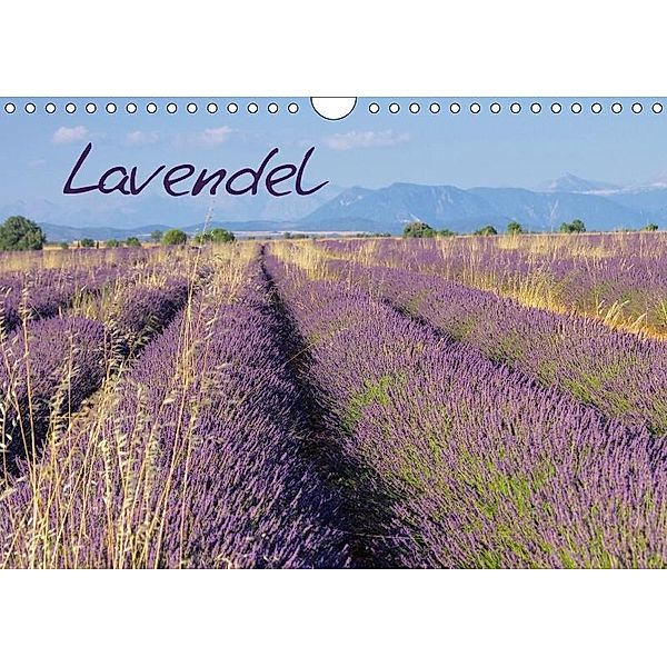 Lavendel (Wandkalender 2017 DIN A4 quer), LianeM
