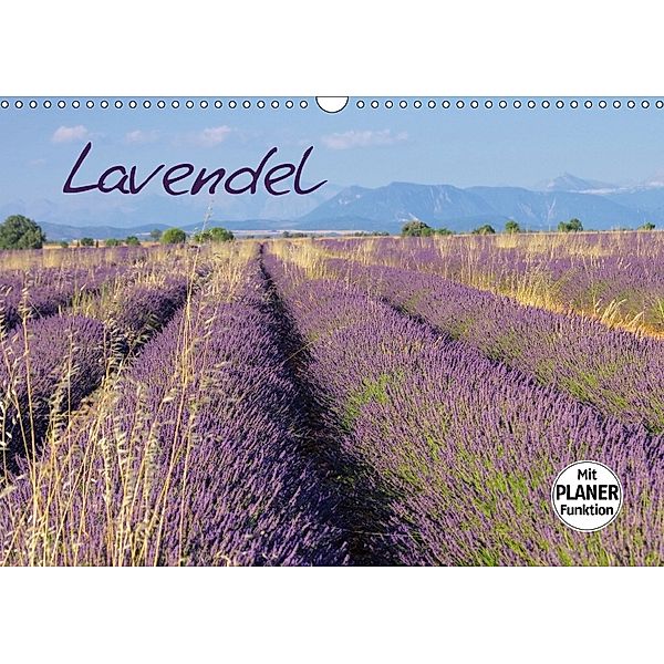 Lavendel (Wandkalender 2018 DIN A3 quer), LianeM