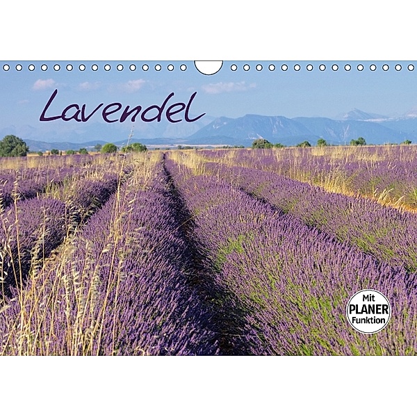 Lavendel (Wandkalender 2018 DIN A4 quer), LianeM