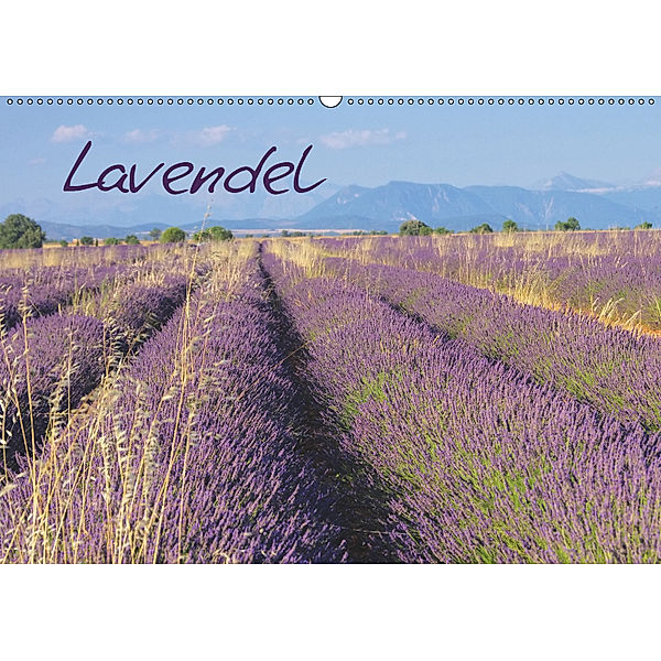 Lavendel (Wandkalender 2019 DIN A2 quer), LianeM