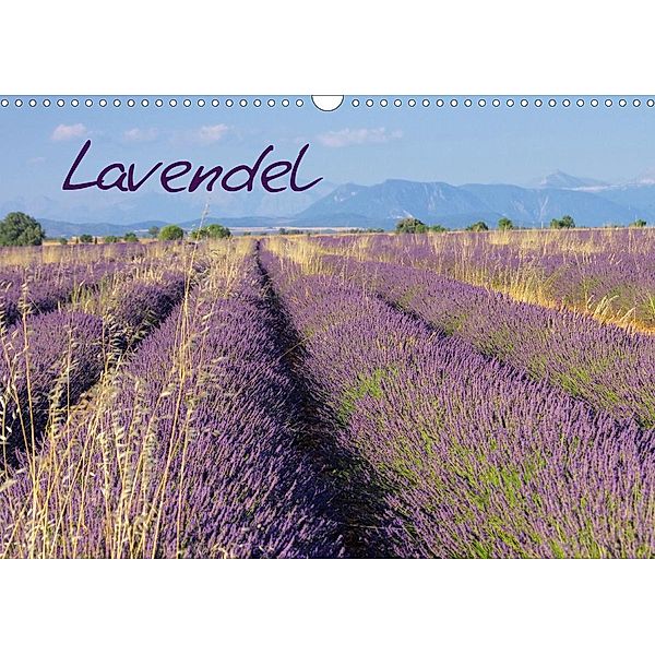 Lavendel (Wandkalender 2020 DIN A3 quer)