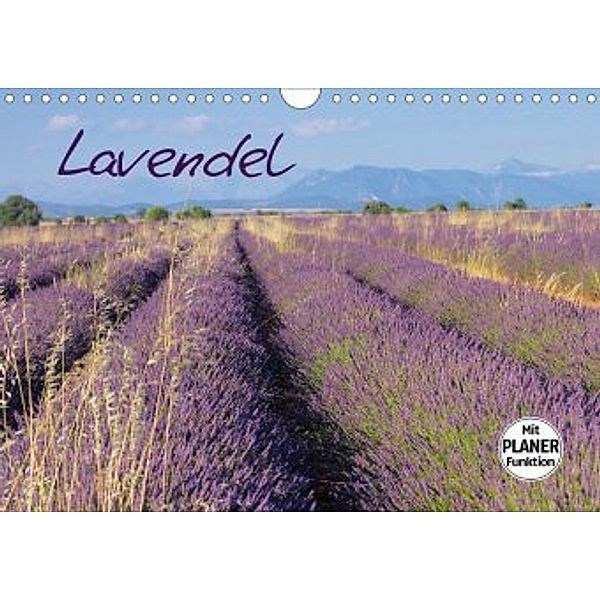 Lavendel (Wandkalender 2020 DIN A4 quer)