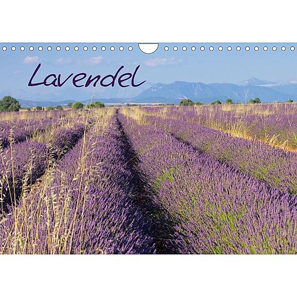 Lavendel (Wandkalender 2023 DIN A4 quer), LianeM