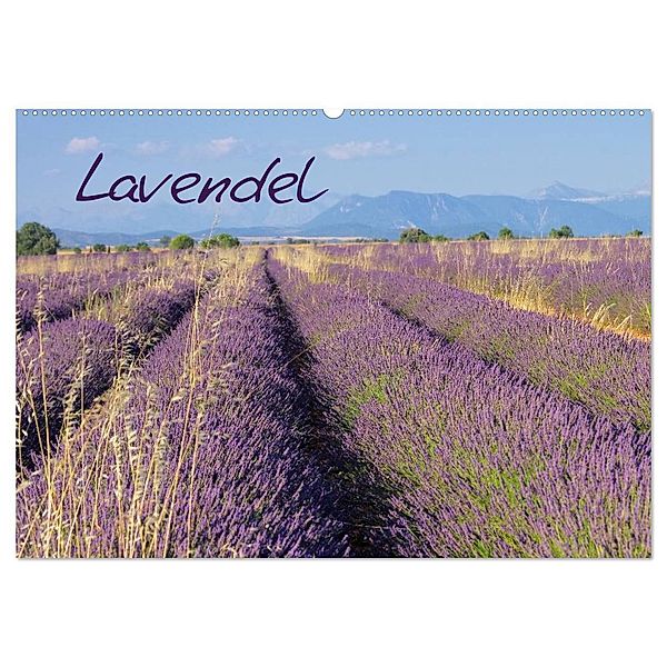 Lavendel (Wandkalender 2024 DIN A2 quer), CALVENDO Monatskalender, LianeM