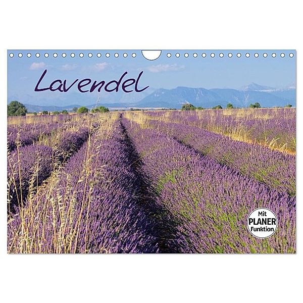 Lavendel (Wandkalender 2024 DIN A4 quer), CALVENDO Monatskalender, LianeM